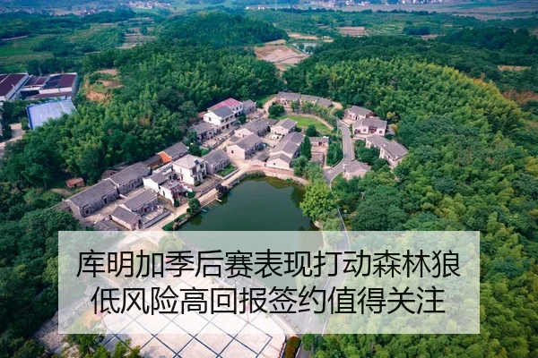 库明加季后赛表现打动森林狼 低风险高回报签约值得关注